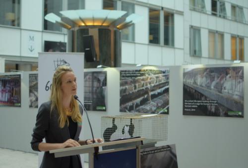 Ria Rehberg im Europäischem Parlament